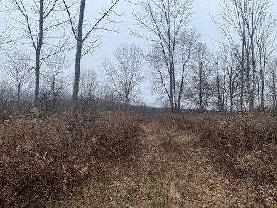 00 Matteson Rd, North Bennington, VT 05257 - photo 5