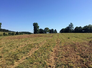 30 Ac. - Borden Grant Trail unit 706, Fairfield, VA 24435 - photo 6