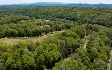 LT83 Old Toccoa Farm, Mineral Bluff, GA 30559 - photo 5
