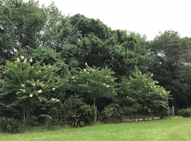 2907 River Rd, Johns Island, SC 29455 - photo 3