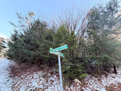 311 Beechwood Ln, Peru, VT 05152 - photo 4