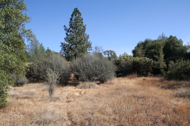 10466 Bonanza Way, Rough and Ready, CA 95975 - photo 6