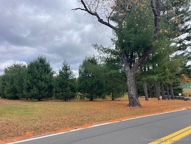 175 Stafford Rd, Somers, CT 06071 - photo 5