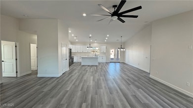 2141 W Carnation Way, Pahrump, NV 89048 - photo 7