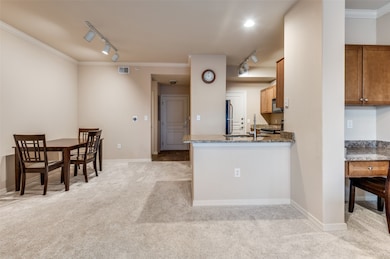 Grand Treviso Tower unit 234, Irving, TX 75039 - photo 6