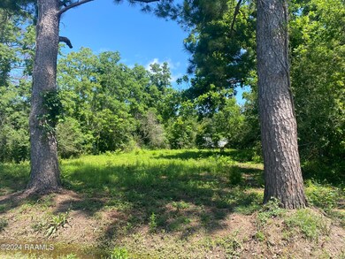 1850 Gum St, Basile, LA 70515 - photo 2