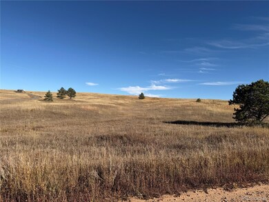 20155 E Thunder Rd, Colorado Springs, CO 80908 - photo 5