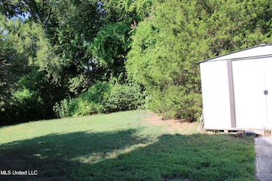 9919 Adina Cove, Olive Branch, MS 38654 - photo 3