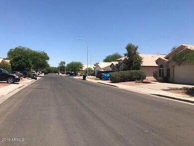 Street View-Great Neigh!