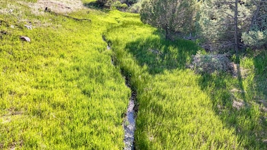 236 Boreen Way, Howard, CO 81233 - photo 7