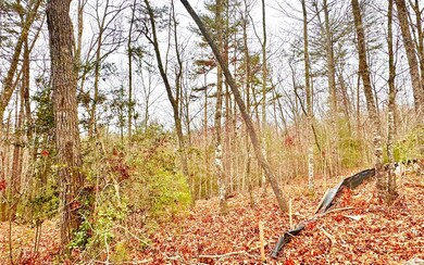 2.5AC Loy St, Ellijay, GA 30540 - photo 5