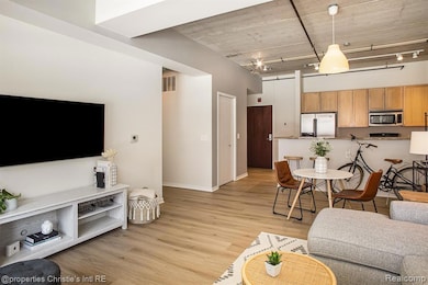 Ellington Lofts unit 205, Detroit, MI 48201 - photo 2