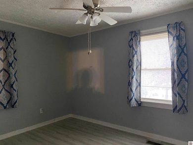 191 Hill Rd, Grand Rivers, KY 42045 - photo 7