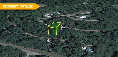 Crane Pr 4738, Jefferson, TX 75657 - photo 3