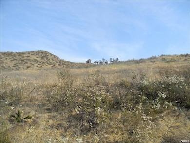 0 W Illinois unit SW25273884, Lake Elsinore, CA 92530 - photo 2