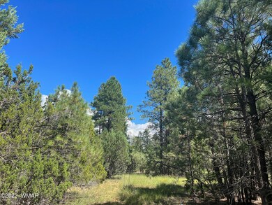 2899 Lejo Rd.