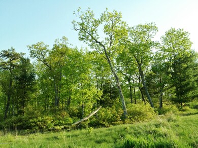 20201107201905768847000000-o