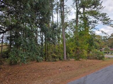 unlisted-address, Santee, SC 29142 - photo 7