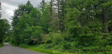 272 XX 96th Ave E, Graham, WA 98338 - photo 6