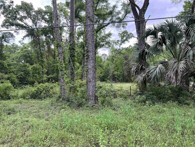 62 Appaloosa Rd, Crawfordville, FL 32327 - photo 2