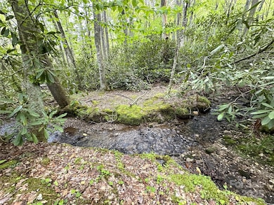 4102 Highway 221 None S, Blowing Rock, NC 28605 - photo 5