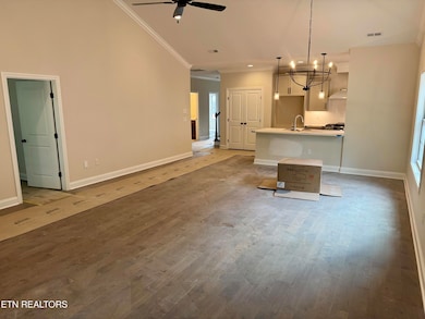 1125 Chardonnay Ln, Hardin Valley, TN 37932 - photo 5