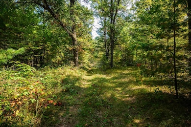 Lot 0 Lonesome Rd, Dexter, WI 54495 - photo 6