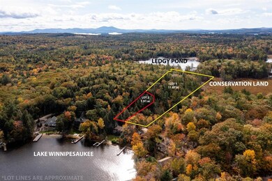 0 Wentworth Shores Rd unit 2, Moultonborough, NH 03254 - photo 4