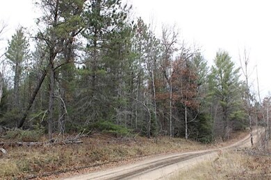 0 Kelm Way unit 314191, Grayling, MI 49738 - photo 4