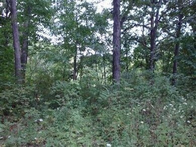 12210 Lee St, Crown Point, IN 46307 - photo 6