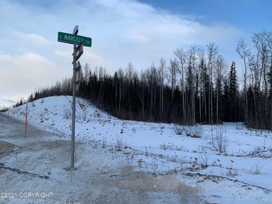 IMG-7251