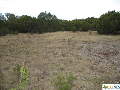 000 County Road 4818, Kempner, TX 76539 - photo 7