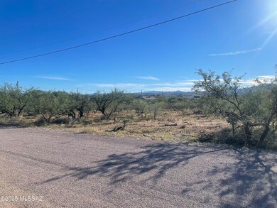 1826 Via Nueva Zelandia unit 49, Rio Rico, AZ 85648 - photo 2