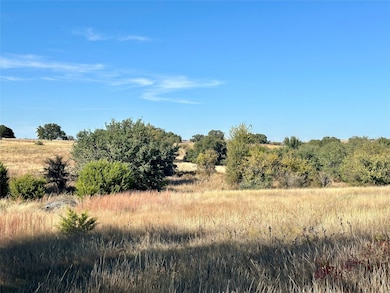 171 County Road 306, Goldthwaite, TX 76844 - photo 7