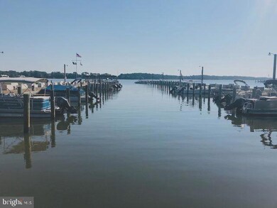 22 Salt Spray Dr, Berlin, MD 21811 - photo 5