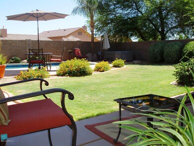 Backyard 1