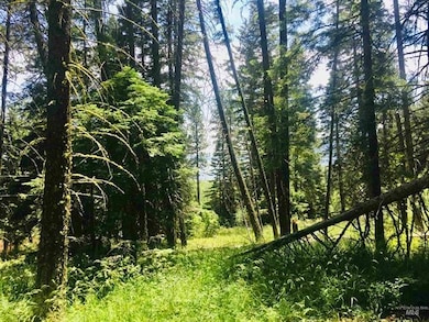 1633 Bear Trail unit 3A-26, Donnelly, ID 83615 - photo 7