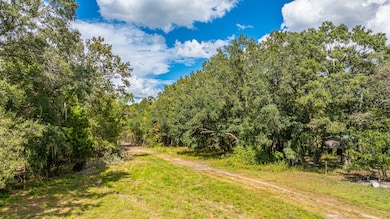 0 Yaremich Rd, Moncks Corner, SC 29461 - photo 5
