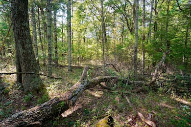 Lot 45 18th, Arkdale, WI 54613 - photo 4