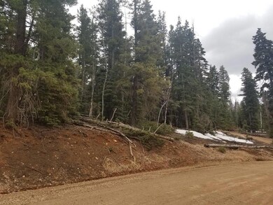 Road Access