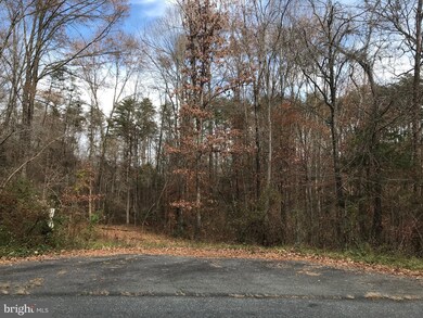 LOT 32A Orange Springs Rd, Unionville, VA 22567 - photo 5