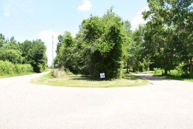 30228 Woodrow Magee Rd, Franklinton, LA 70438 - photo 3