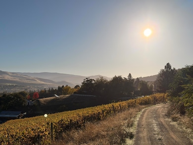 202 Pleasant View, Talent, OR 97540 - photo 6