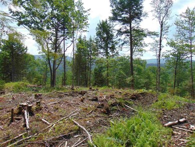 0 Slate Ledge Rd, Waterford, VT 05819 - photo 3