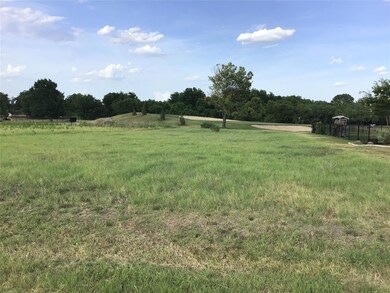 22072 Shady Grove Ct, Whitney, TX 76692 - photo 3