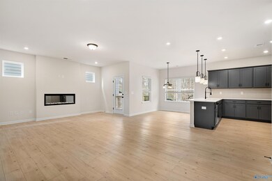 1108 Tanger Glen Trail NW, Harvest, AL 35749 - photo 4