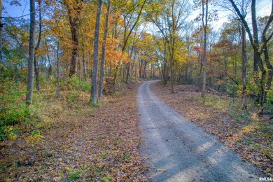 1924 Suchman Rd, Ava, IL 62907 - photo 3