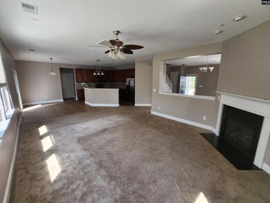 213 Indigo Springs Dr, Columbia, SC 29229 - photo 7