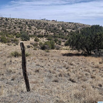 1112 Mountain View Rd, Silver City, NM 88061 - photo 5