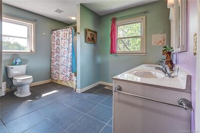 887 Old Leicester Hwy, Asheville, NC 28806 - photo 7